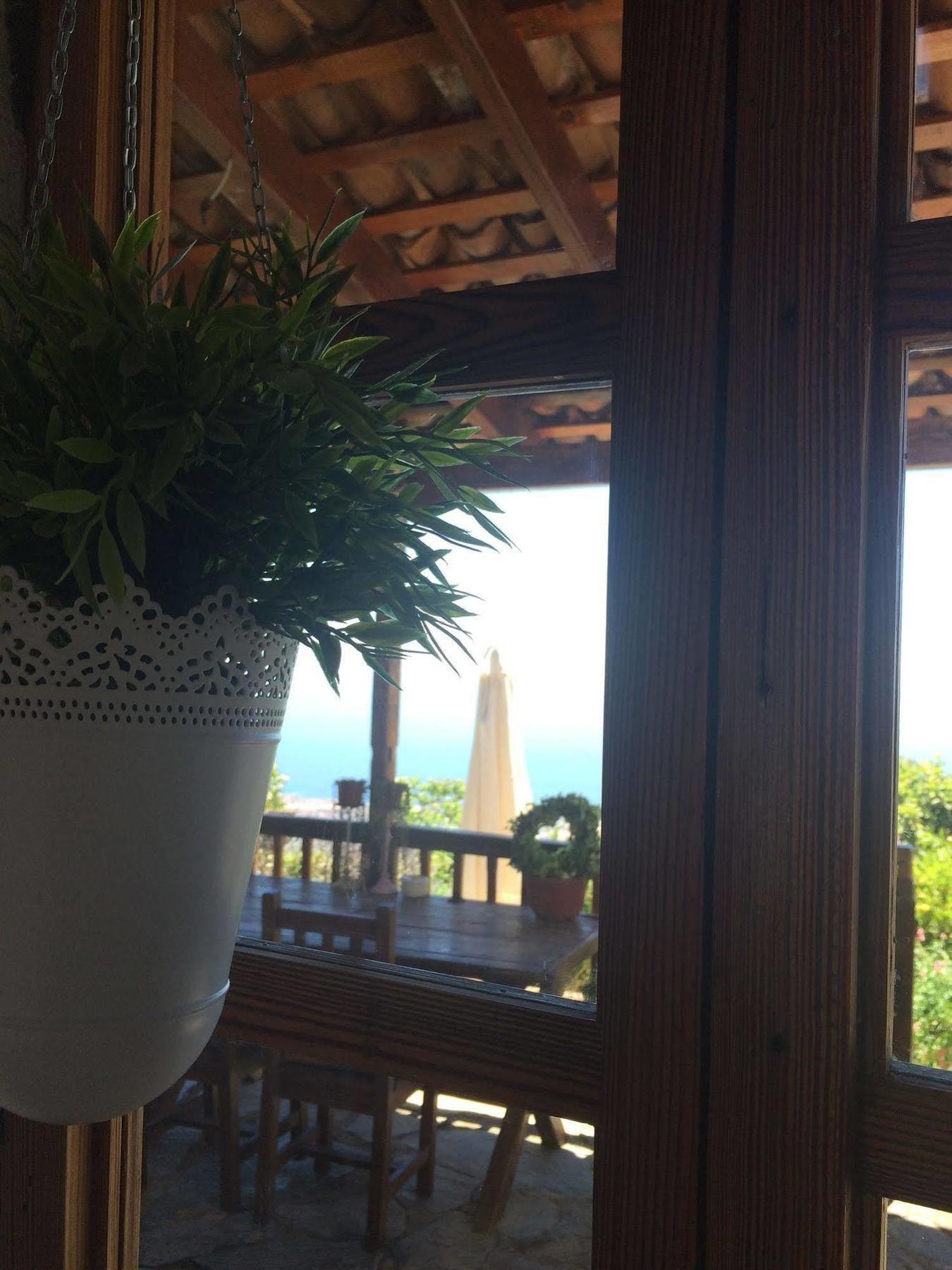 Casa Rural Tajona & Granero Costa Adeje  Kültér fotó